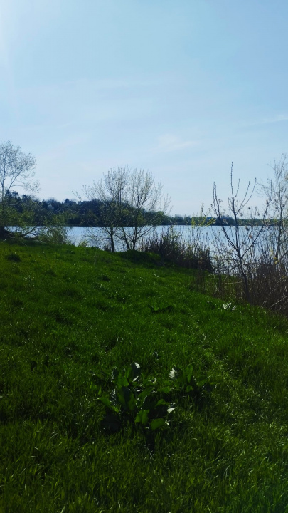 Teren intravilan de vânzare – Grădiștea, Ilfov, Aleea Primăriei