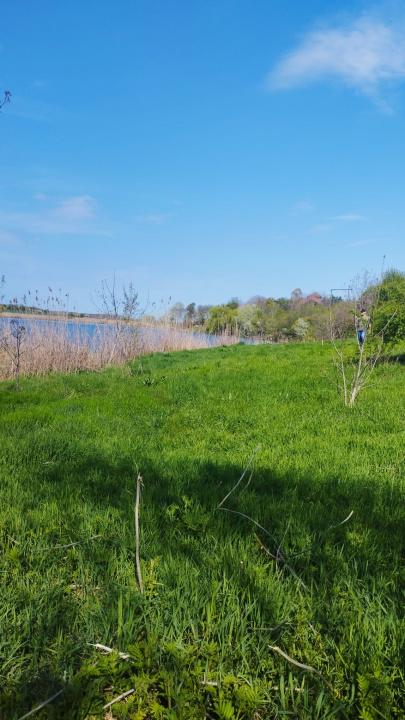 Teren intravilan de vânzare – Grădiștea, Ilfov, Aleea Primăriei