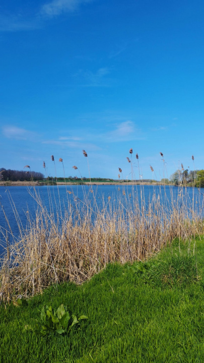 Teren intravilan de vânzare – Grădiștea, Ilfov, Aleea Primăriei