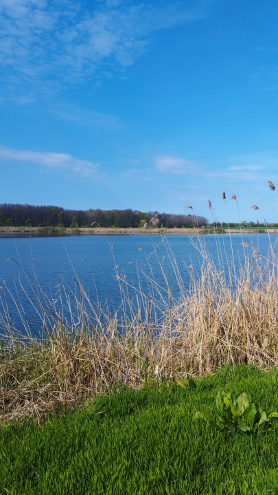 Teren intravilan de vânzare – Grădiștea, Ilfov, Aleea Primăriei