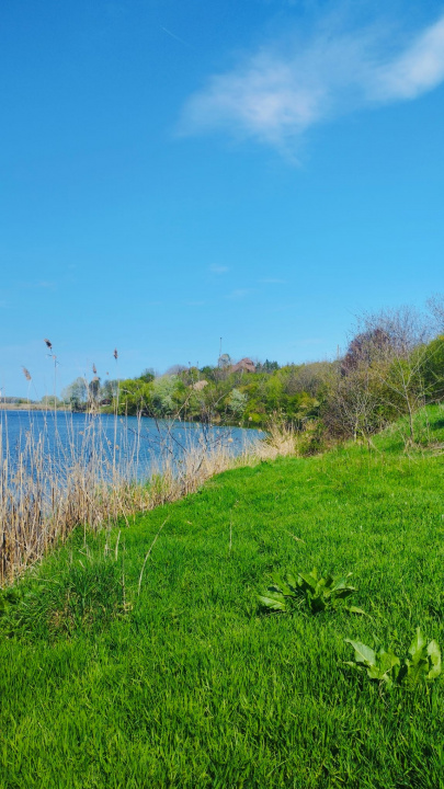 Teren intravilan de vânzare – Grădiștea, Ilfov, Aleea Primăriei