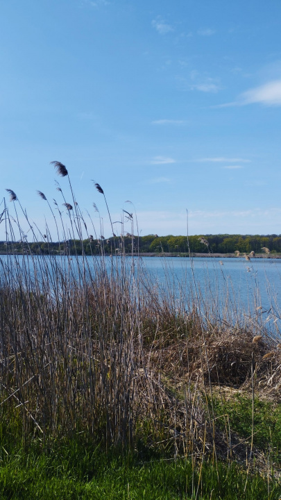 Teren intravilan de vânzare – Grădiștea, Ilfov, Aleea Primăriei