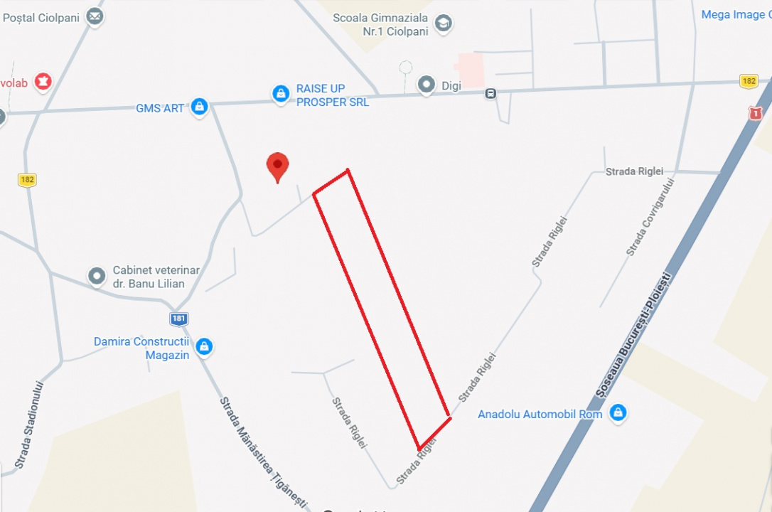 CIOLPANI, LOT 4.900 MP!