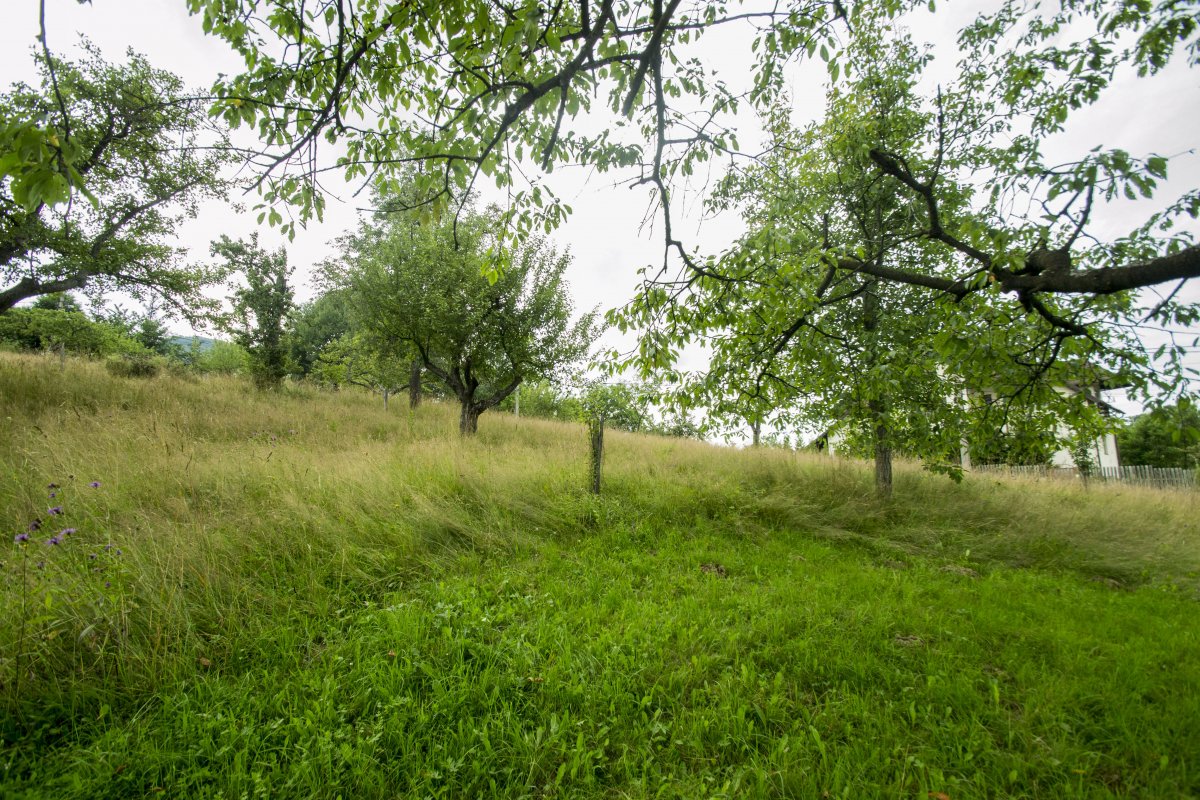 Teren investitie Bran - Predelut, la 2 km de Castelul Bran