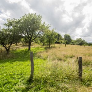 Teren investitie Bran - Predelut, la 2 km de Castelul Bran