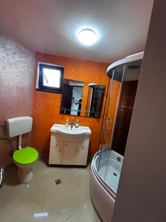 Casa singur curte Toporasi Cladova