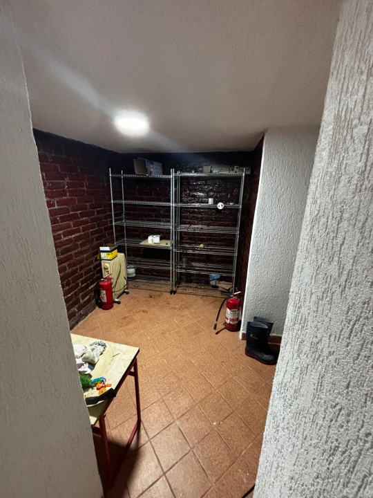 Casa singur curte Toporasi Cladova