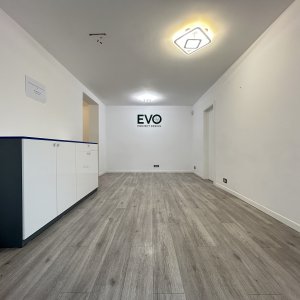 Spațiu pretabil sediu firmă sau activitate comercială - Tomis II