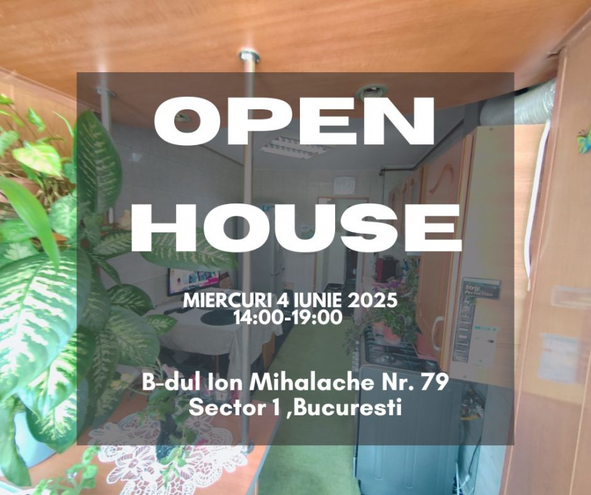 Domenii Ion Mihalache stradal super pret