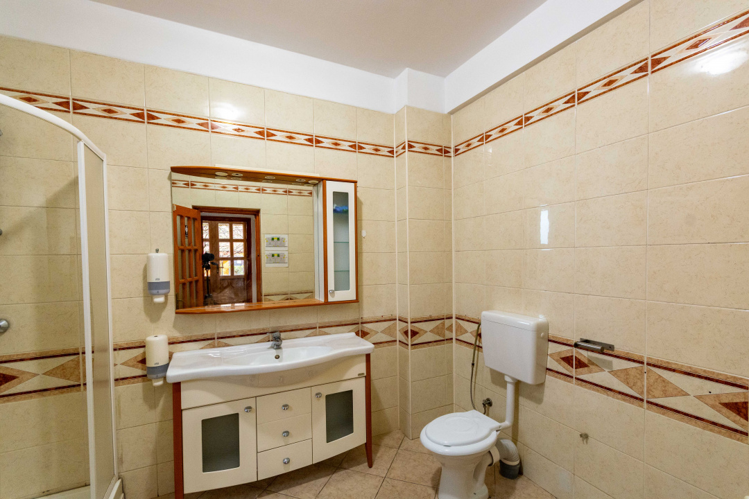 Aviatiei | Smaranda Braescu | Vila reprezentativa de inchiriat