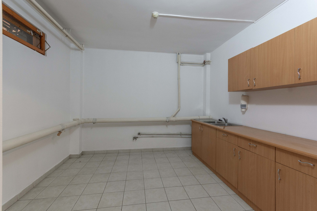 Aviatiei | Smaranda Braescu | Vila reprezentativa de inchiriat