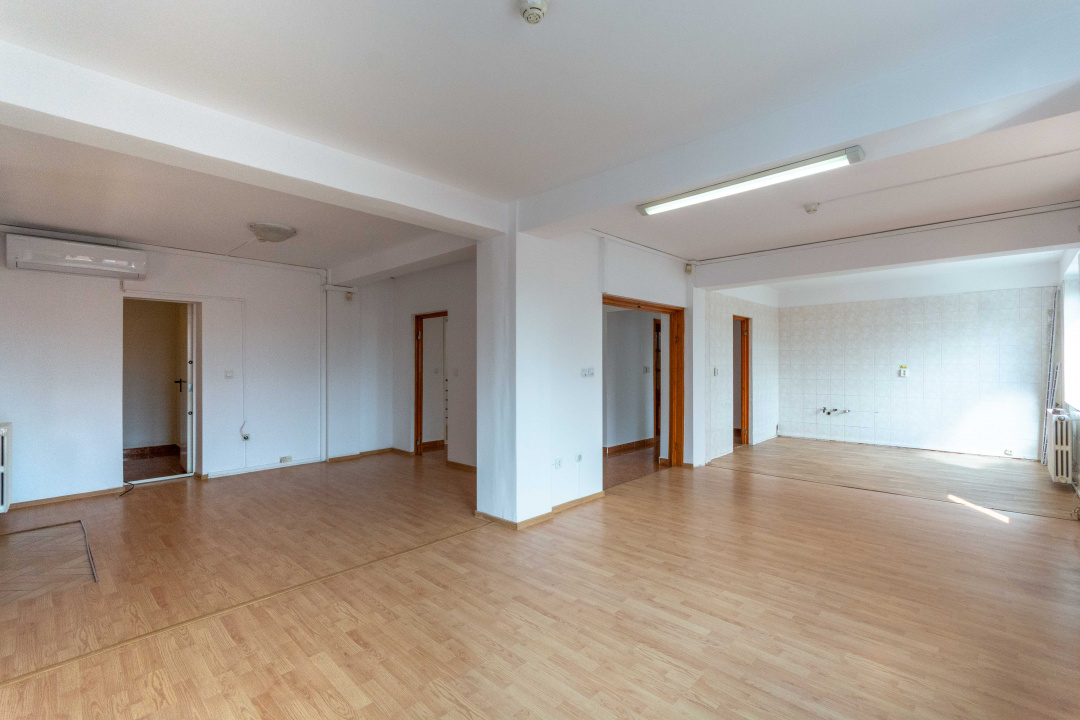 Aviatiei | Smaranda Braescu | Vila reprezentativa de inchiriat