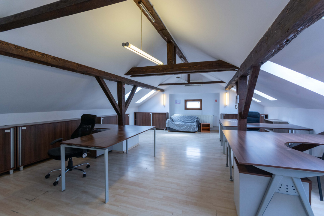 Aviatiei | Smaranda Braescu | Vila reprezentativa de inchiriat