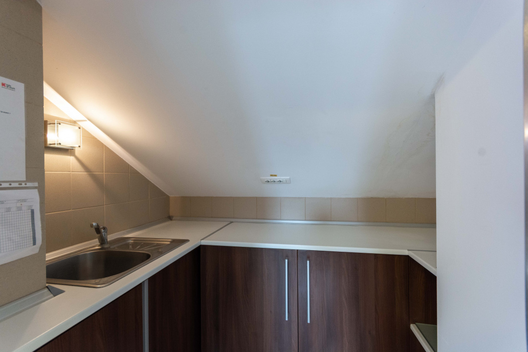 Aviatiei | Smaranda Braescu | Vila reprezentativa de inchiriat