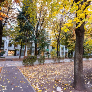 Apartament deosebit - vânzare 5 camere Bd. Unirii - Fantani
