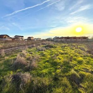 Teren Intravilan 468mp Lebedelor Com. Berceni | utilitati | #CG2R